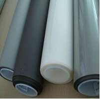 ͶӰĤ����Ͷ�ͣ�